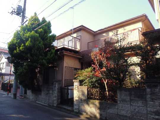 Local land photo. appearance