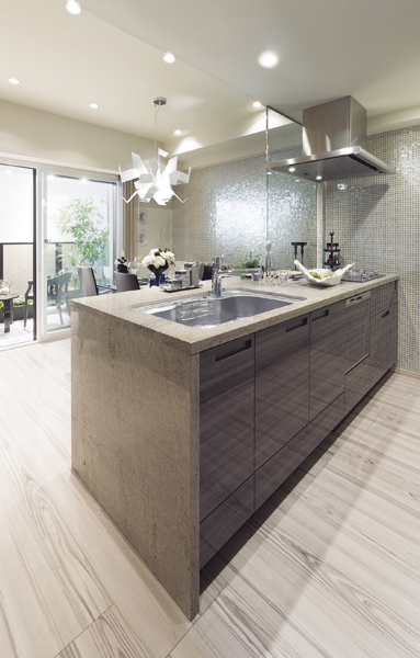 Disposer and dishwasher, Was standard equipped with advanced equipment, such as a glass-top stove, Full open kitchen