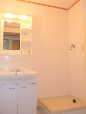 Washroom. Washbasin shampoo dresser type