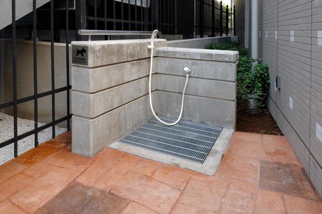 Other common areas. Pet foot washing place