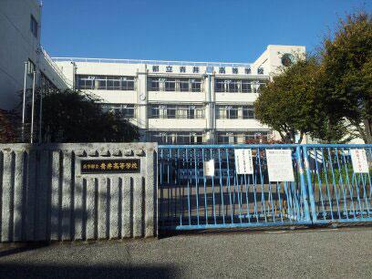 high school ・ College. Aoi 290m to high school