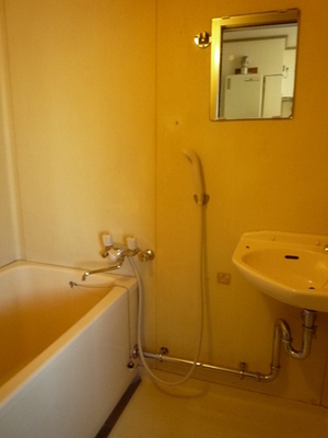 Bath. Of course, bus toilet by