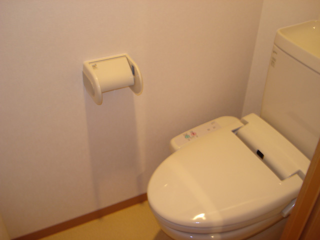 Toilet. It is with a bidet.