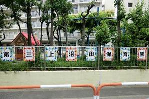 Up to about a third Uwanumata nursery 510m