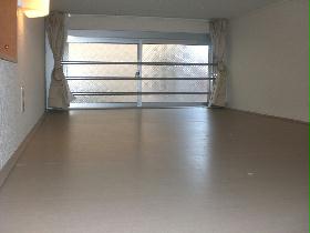 Living and room. loft