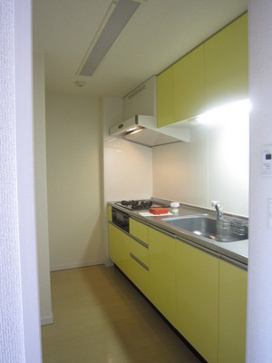 Kitchen. Independent kitchen. 3-neck system Kitchen