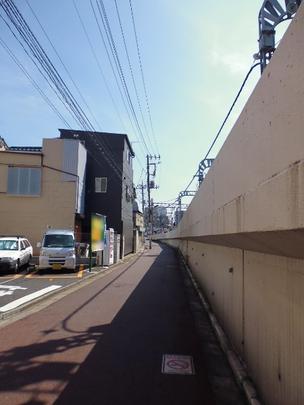 Local land photo. Appearance 1
