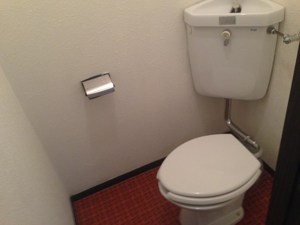 Toilet. Western-style toilet