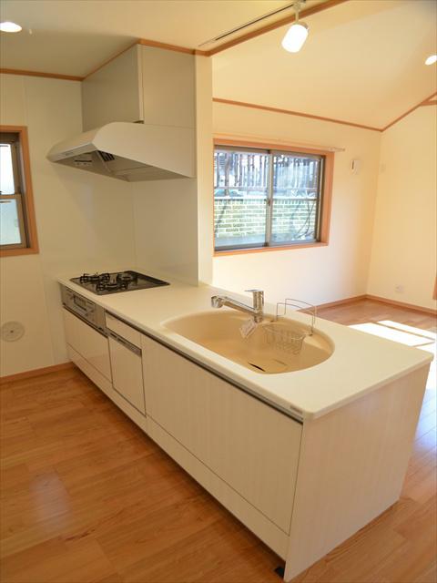 Kitchen. Open-minded open kitchen