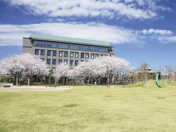 Surrounding environment. Senjuohashi Sakura park (about 15m ・ 1-minute walk)