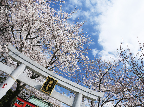 Surrounding environment. Sakura shrine (about 15m ・ 1-minute walk)