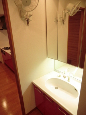 Washroom. Shampoo dresser with three-sided mirror