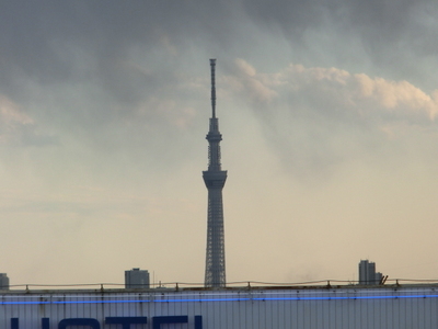 View. Tokyo Sky Tree, Well looks! 