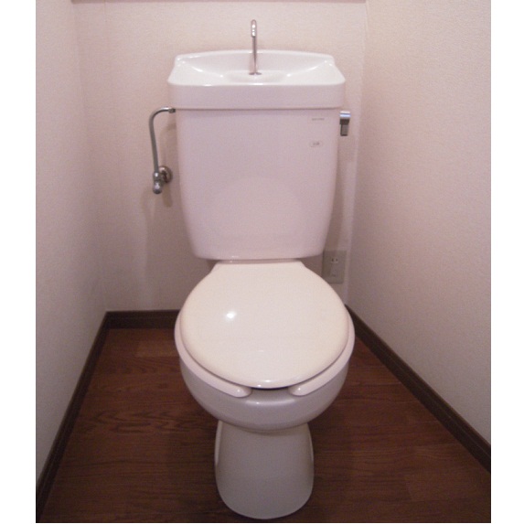 Toilet. The same type