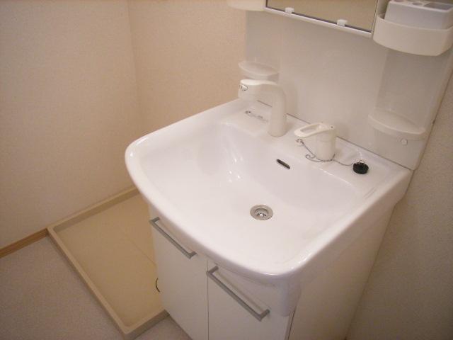 Washroom. Shampoo dresser
