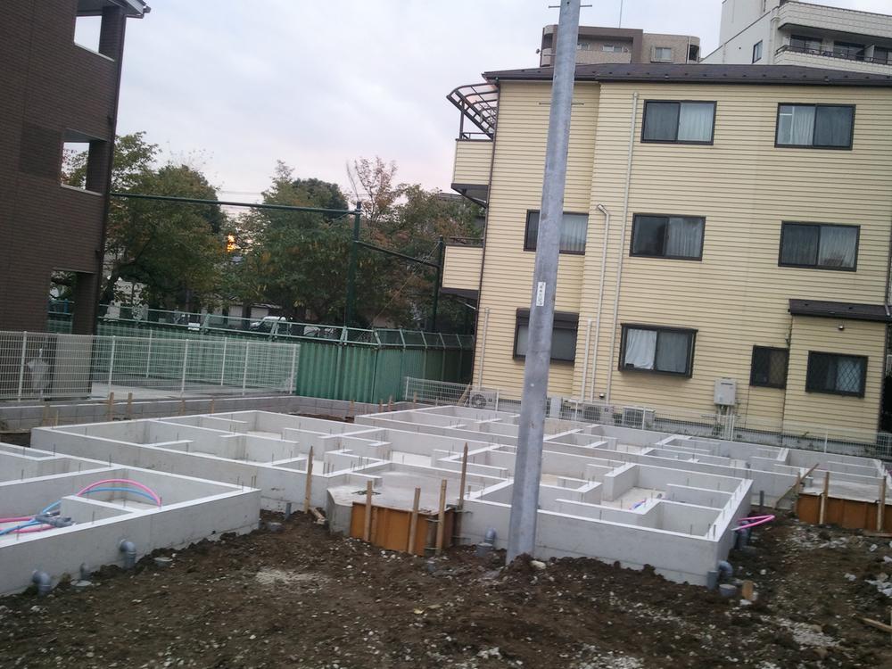 Local appearance photo. Local (November) Shooting