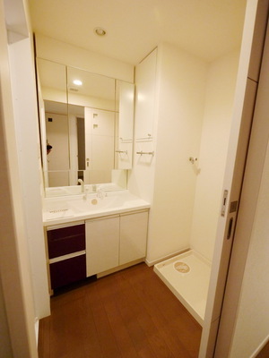 Washroom. Independent wash basin