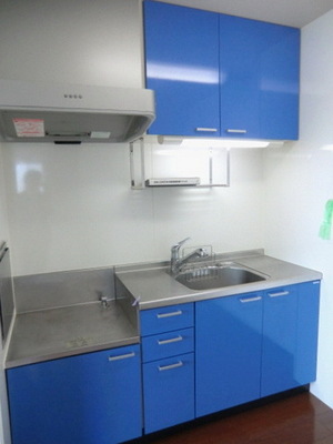 Kitchen. Two-burner gas stove installation Allowed