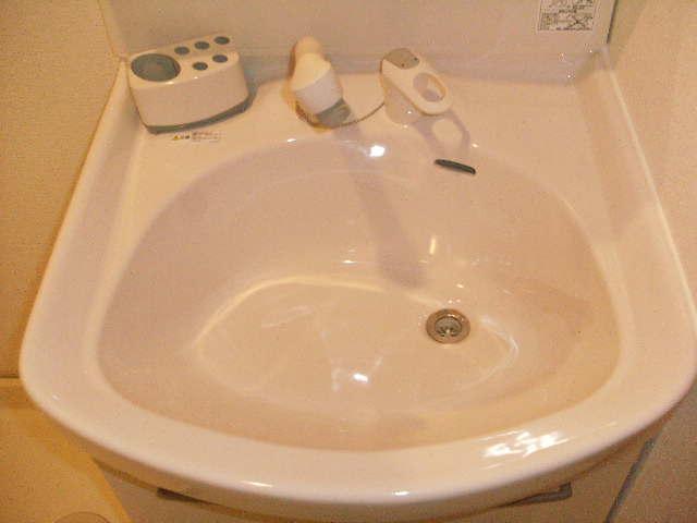 Washroom. Shampoo dresser