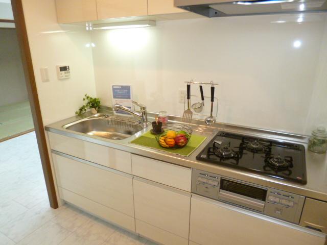 Kitchen. System kitchen water purifier internal organs