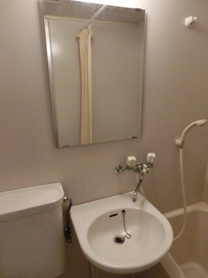 Washroom. Equipped with a wash basin in the bath