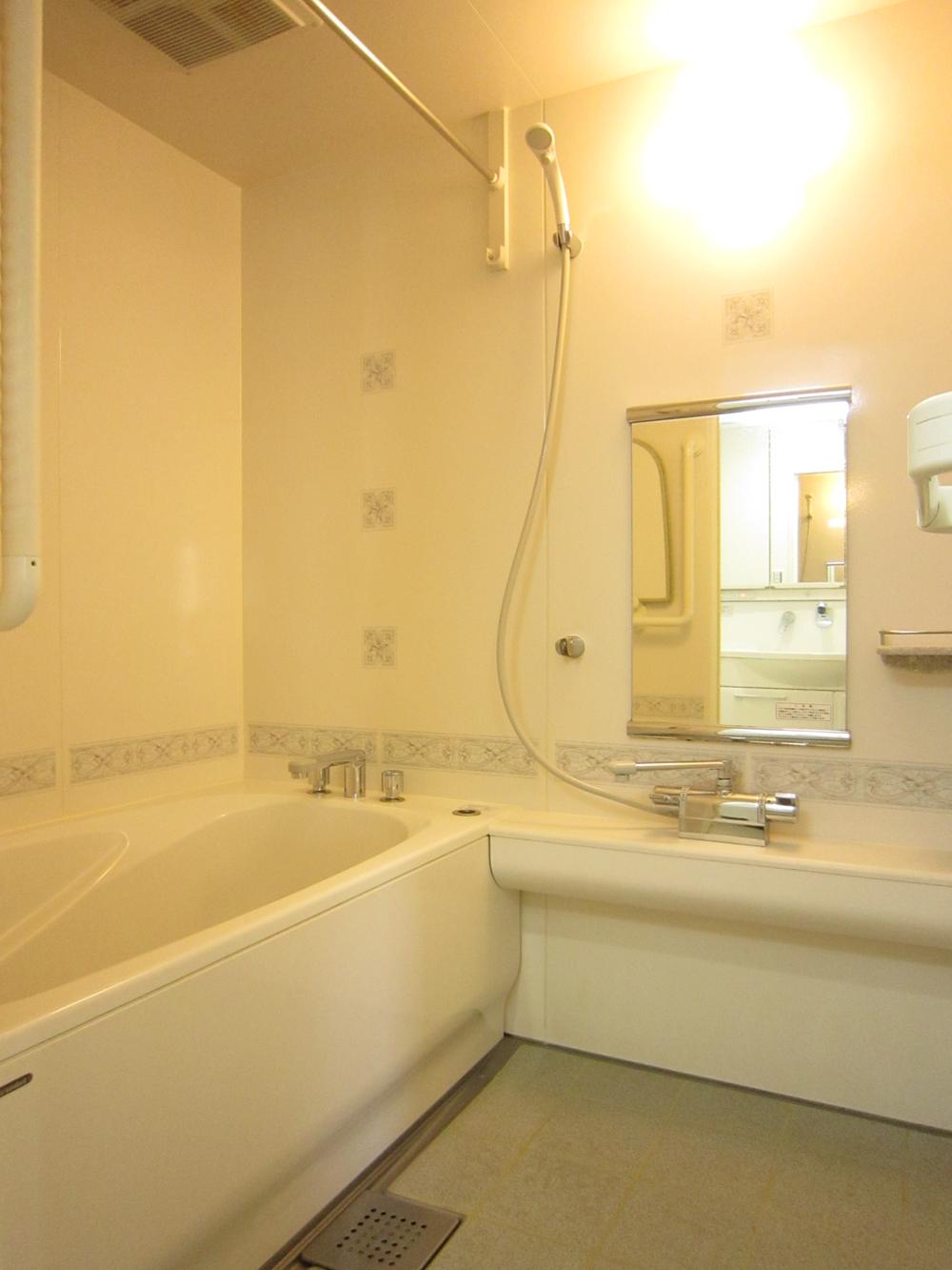 Bathroom. Indoor (11 May 2013) Shooting