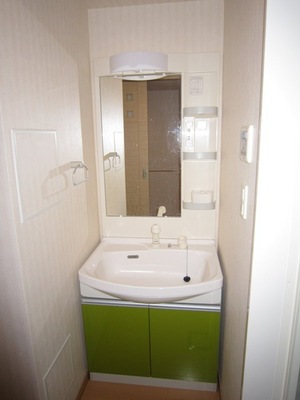 Washroom. Bathroom vanity