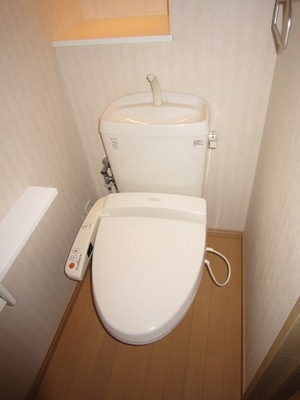 Toilet. Cleaning toilet seat