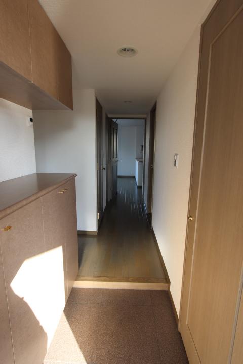 Entrance. Interior room cleaning settled (2013 October shooting)