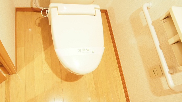 Toilet