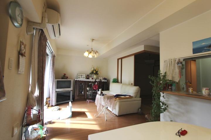 Living. Facing south in a bright living room. To the place where nature and family gather. Indoor (11 May 2013) Shooting