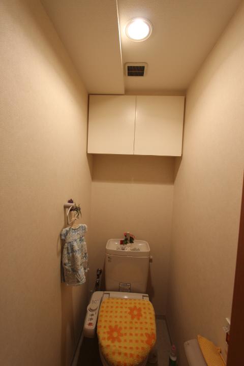 Toilet. Shower function with toilet