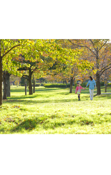 "Metropolitan Tonerikoen" (bicycle about 9 minutes / About 2100m)