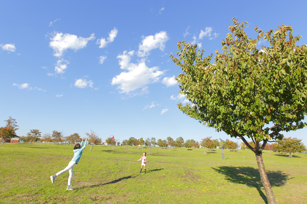 "Metropolitan Tonerikoen"