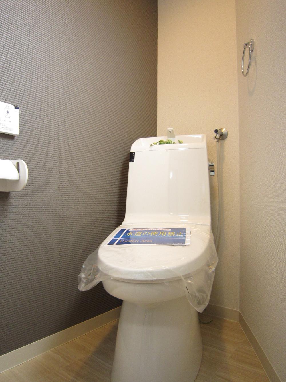Toilet. Indoor (January 2014) Shooting