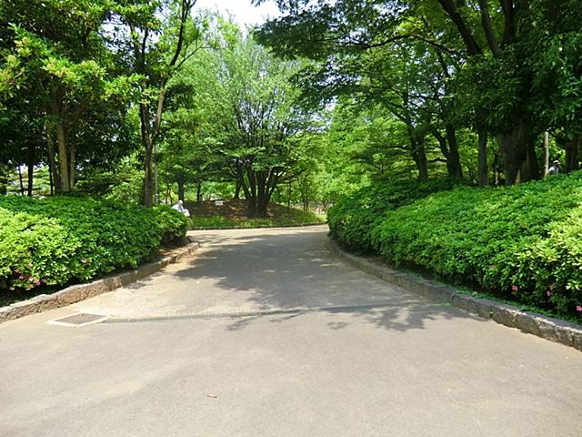 park. Oyata park