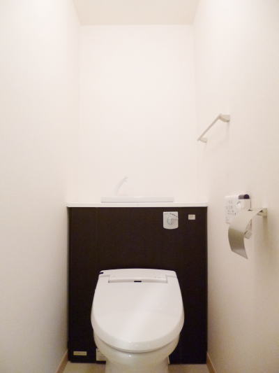 Toilet. Convenient with bidet