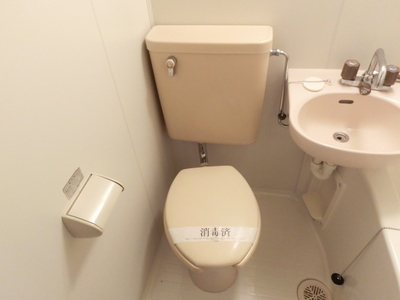 Toilet. Toilet with cleanliness