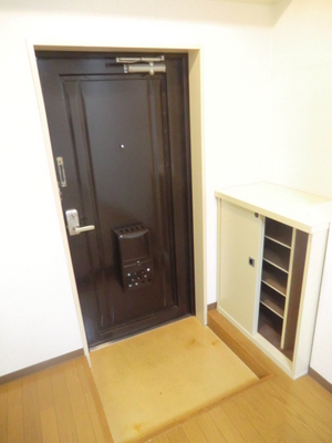 Entrance. Shoes BOX equipped bright entrance