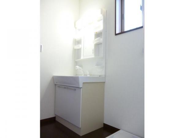 Wash basin, toilet. Bathroom vanity