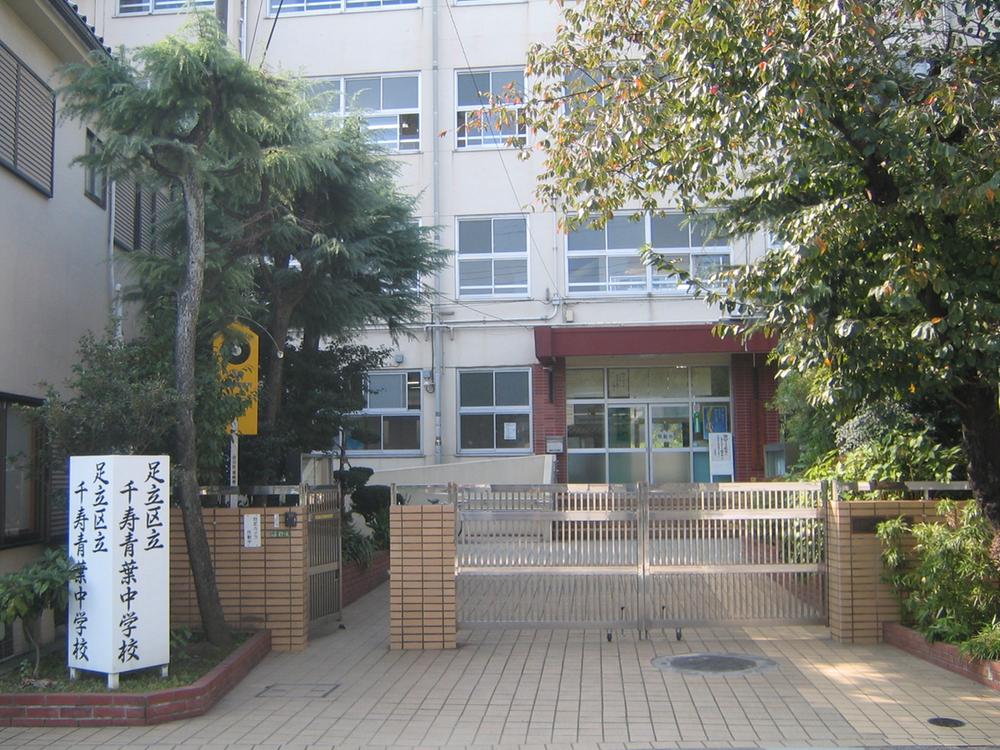 Junior high school. 502m to Adachi Ward Senju Aoba Junior High School