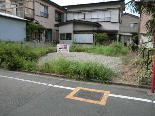 Local land photo. appearance