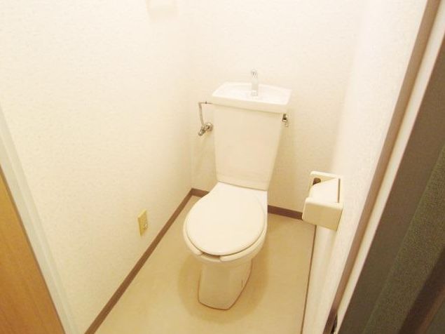 Toilet. Washlet mounting possible. 