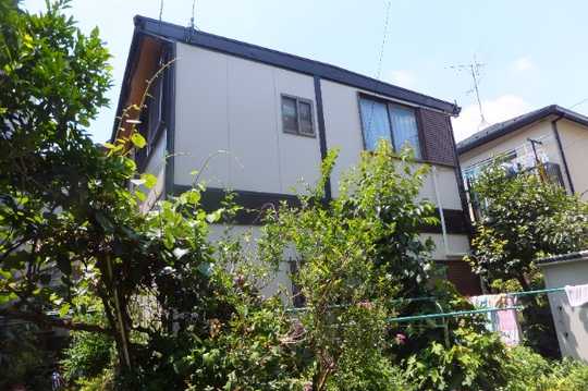 Local land photo. Appearance 1