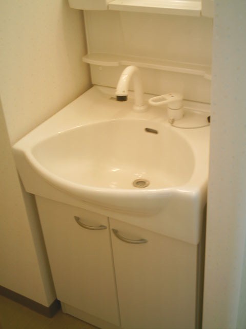 Washroom. Bathroom Vanity