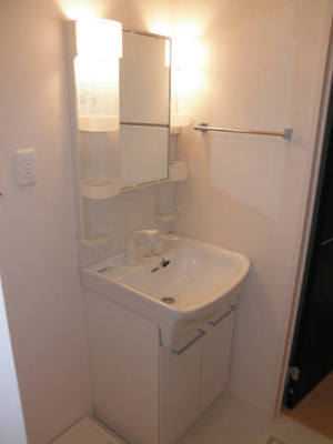 Washroom. Shampoo dresser