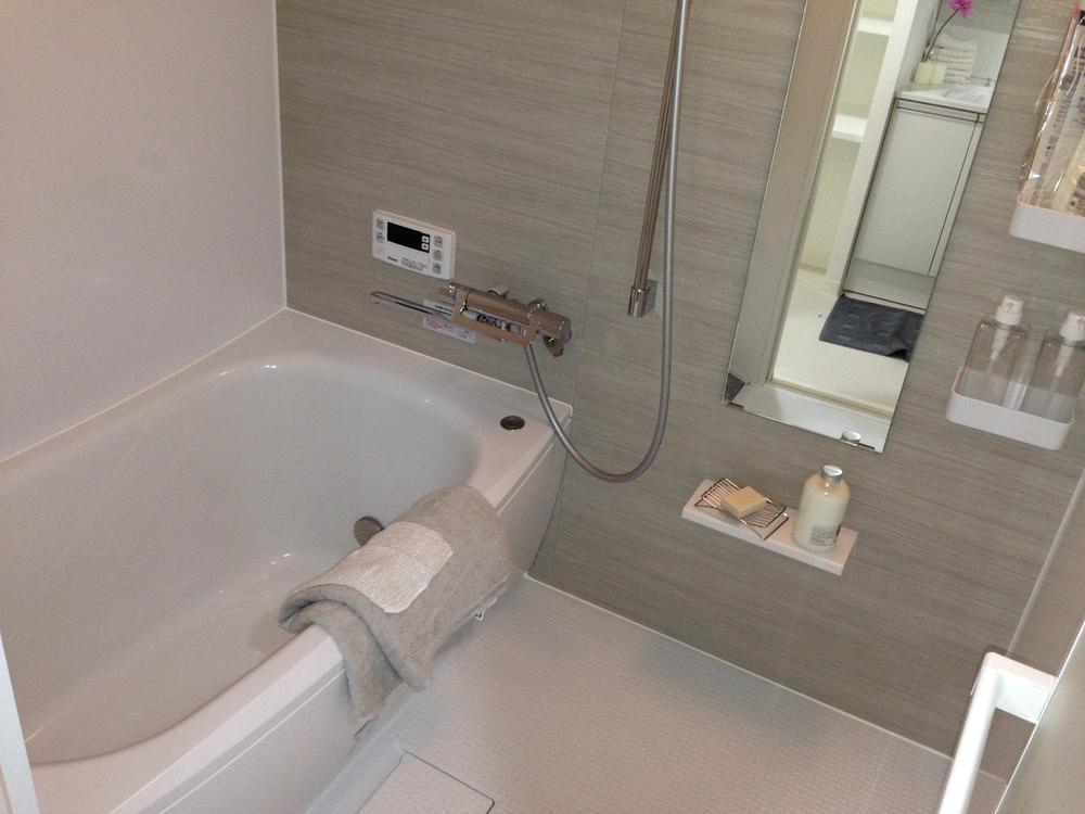 Bathroom. Indoor (12 May 2013) Shooting