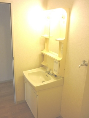 Washroom. It is a photograph of a separate room of the same properties.