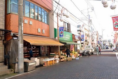 Other. 300m to the shopping street (Other)