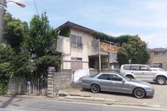 Local land photo. Appearance 1